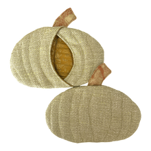 Load image into Gallery viewer, Pumpkin Potholder Set by Tee Mo
