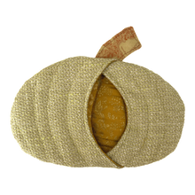 Load image into Gallery viewer, Pumpkin Potholder Set by Tee Mo