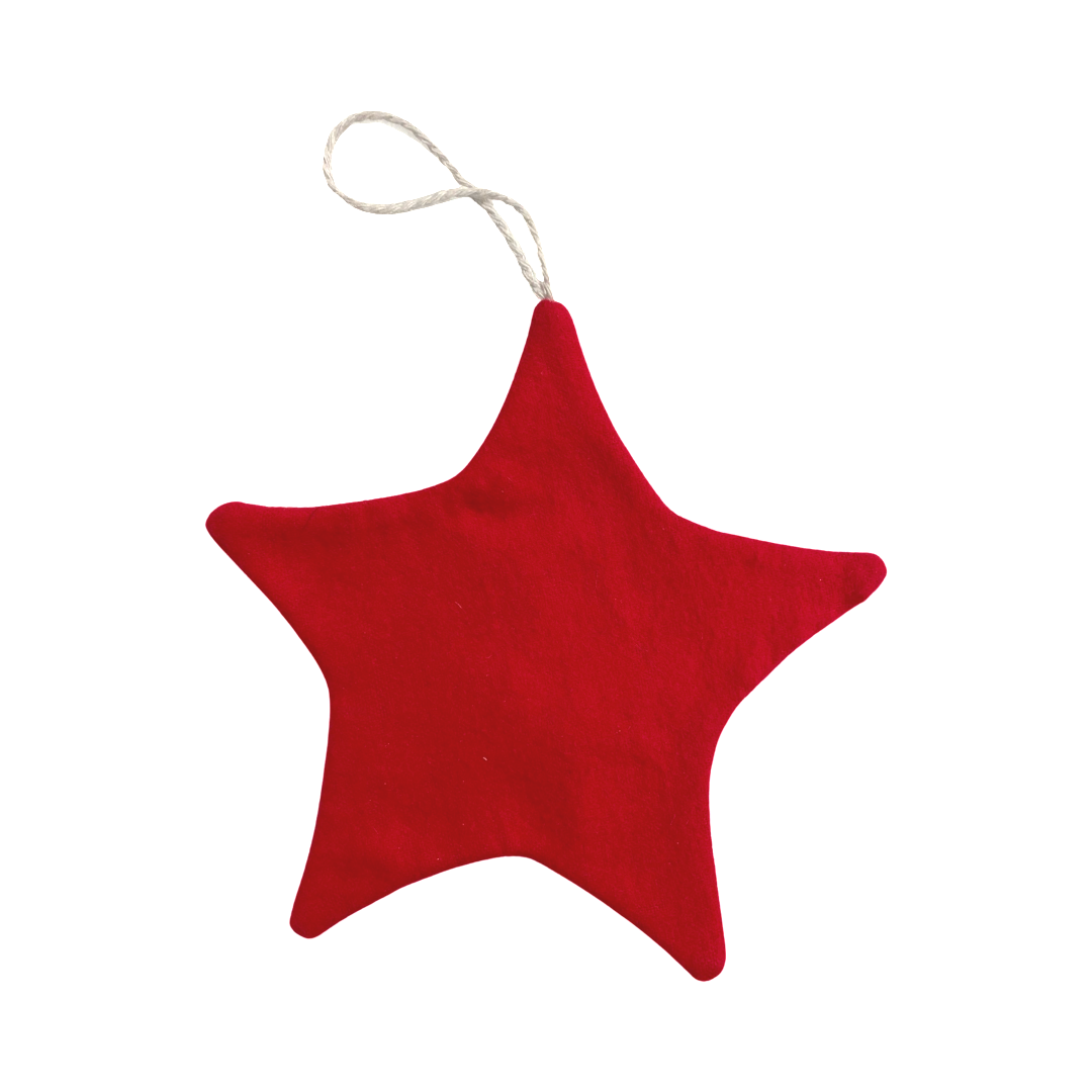 Ornament by Tee Mo